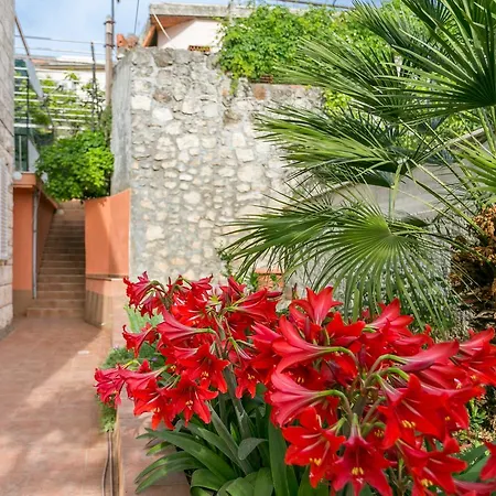 Guesthouse Tonko Dubrovnik Extérieur photo
